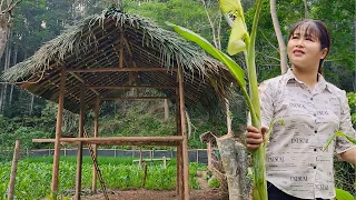 Cover the roof with palm leaves - The girl alone built a wooden house in the wild forest