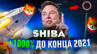 SHIBA INU | Штучный рост Шибы | Время брить хомяков или продолжение роста? ( тех анализ шиби ину)