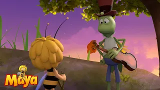 Music Lessons - Maya the bee🐝🍯🐝