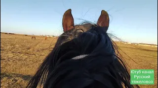 Самое длинное видео.|Табунное коневодство.| Новый сезон для Жеребца Суффикса.