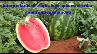 sonhar com melancia verde , sonhar com melancia madura ,  com melancia podre significado espiritual