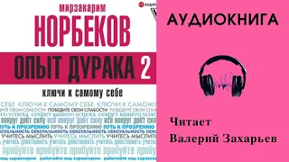 Аудиокнига "Опыт дурака 2" - Мирзакарим Норбеков