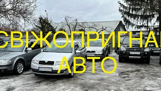 Свіжопригнані авто з Європи🇪🇺Skoda✅Renault✅Opel✅Volkswagen✅01.02.2024☎️+380989856654