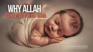 Why Allah created us #muftimenk #islamic_video