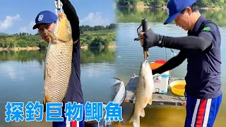 Deng Gang Fish: Maojian Reservoir  Lots Grass Carp & Big Crucian! [Tianyuan Deng Gang]