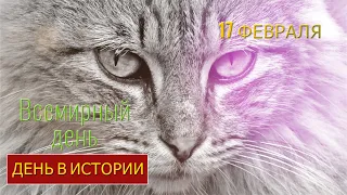 Всемирный день кошек! В МИРЕ ЖИВОТНЫХ. ДЕНЬ В ИСТОРИИ. Коты и кошки.