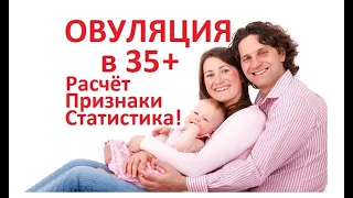 💥Овуляция после 35 🙂– Как расчитать овуляцию (+Статистика 🤰беременностей!). Симптомы и признаки