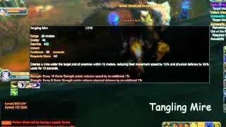 Garena PW Bug Report: WF/Genie Skills