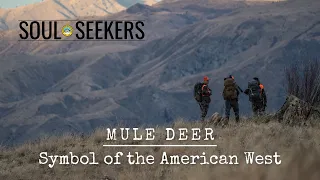 Mule Deer Hunting Washington State | Symbol of the American West