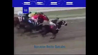 El caballo AGUILA NEGRA gana convincentemente el Clasico Cria Nacional del año 2003.