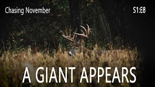 Chasing November S1E8 | A Giant Appears