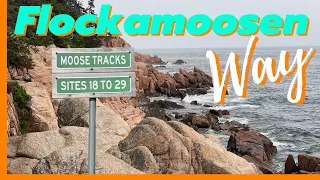 The BEST RV Park to Explore Acadia and Coastal Maine