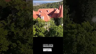 Slovenia travel tips: castle Bizeljsko - aerial