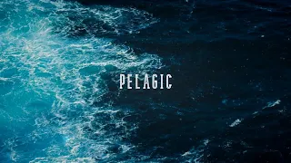 EDM Pop Type Beat - "Pelagic" | Future Bass Inspiring Instrumental