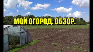 Что выгоднее выращивать в огороде?