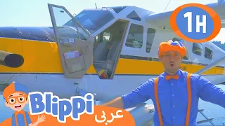 ٢١- بليبي يستكشف طائرة مائية | برنامج بليبي التعليمي | برامج كرتون و أغاني للأطفال | Blippi