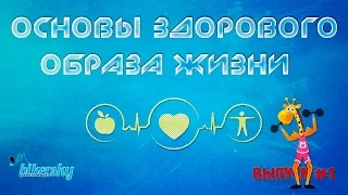 Основы здорового образа жизни