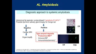 Light Chain AL Amyloidosis  Diagnosis and Treatment