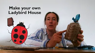 Make your own Ladybird House