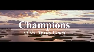 "Champions of the Texas Coast"- U.S. Army Corps of Engineers Galveston District Video