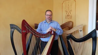 3 Things to Consider When Buying a Lever Harp