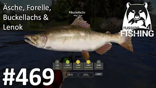 Äsche, Forelle, Lachs & Lenok Tunguska | Russian Fishing 4 #469 | Deutsch | UwF