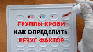 Определение группы крови, резус фактора | Қан тобын, резусын анықтау