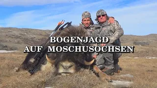 Bogenjagd auf Moschusochsen - Trailer