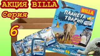 Обзор акции BILLA. 📙 Книга-альбом - Планета животных, серия 6 (Не Льорки)