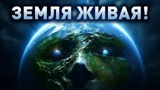 Планеты могут быть разумными. Земля — одна из них?