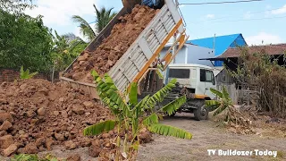 Launching New Project, Pouring Soil In The Fence Next To The Village House, KOMASTU D20P& Land Truck