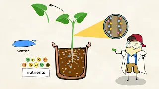 The grass is greener with air and water ⁠— plants | MightyOwl Science | 5th Grade