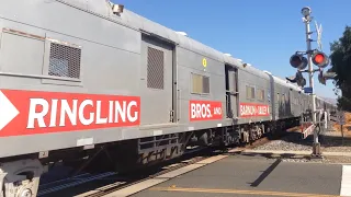 Union Pacific 5214 with Ringling Brothers And Barnum & Bailey Circus Train Union City, CA