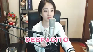 冯提莫《Despacito》中文填词版