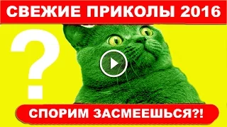 Самые смешные и лучшие приколы 2016 ржака до слез