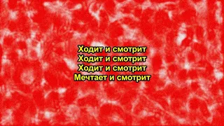 Lida Lee & Monatik - Достопримечательность (lyrics, текст песни, караоке)