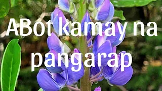 Abot Kamay Na Pangarap March 20, 2023 Full Episode 168