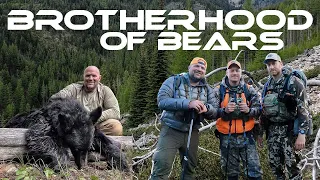 BROTHERHOOD Of BEARS | Montana Bear Hunting | Public Land Bear Hunt