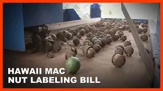 Hawai'i Macadamia Nut "Country of Origin" Labeling Bill (Mar. 22, 2024)