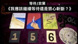 《等待/放棄》我應該繼續等待還是狠心斬斷？他對我的真實感覺/發展/下一步/未來關係走向( 無關係限制/單身/曖昧/暗戀/三角戀/斷聯 )( 無時間限制 ) Oli Tarot 🙋🏻‍♀️塔羅占卜