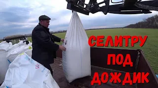 Когда лучше кормить весной Озимый Ячмень!!!Сколько давать Селитры на 1 га!!!