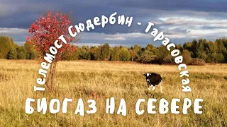 ИСПОЛЬЗОВАНИЕ БИОГАЗА В УСЛОВИЯХ СЕВЕРА.