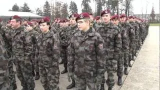 Slovesnost ob dnevu 1. Brigade Slovenske vojske