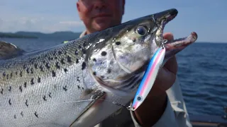 OUTDOOR PASSION, LAKE CHAMPLAIN MONSTER LANDLOCKED SALMON