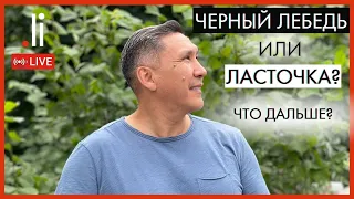 Чёрный лебедь или ласточка? Что дальше? Прямой эфир с Nurlan Muratkali