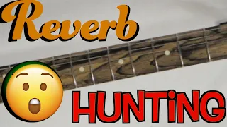 Late-Night Reverb Session Yields Interesting Results | Trogly Guitar Hunting on Reverb for Fender