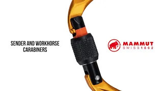 Spotlight: Mammut - Sender and Workhorse Carabiners