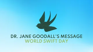 Dr. Jane Goodall's Message for World Swift Day