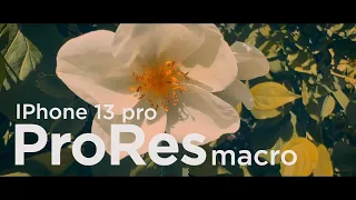 Iphone 13 pro macro video test in ProRes 4k