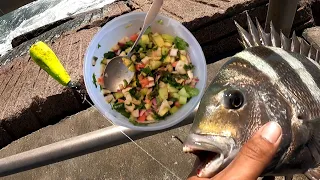 Slip cork Fishing for Sheepshead! (How To Rig!) Catch and Cook!!